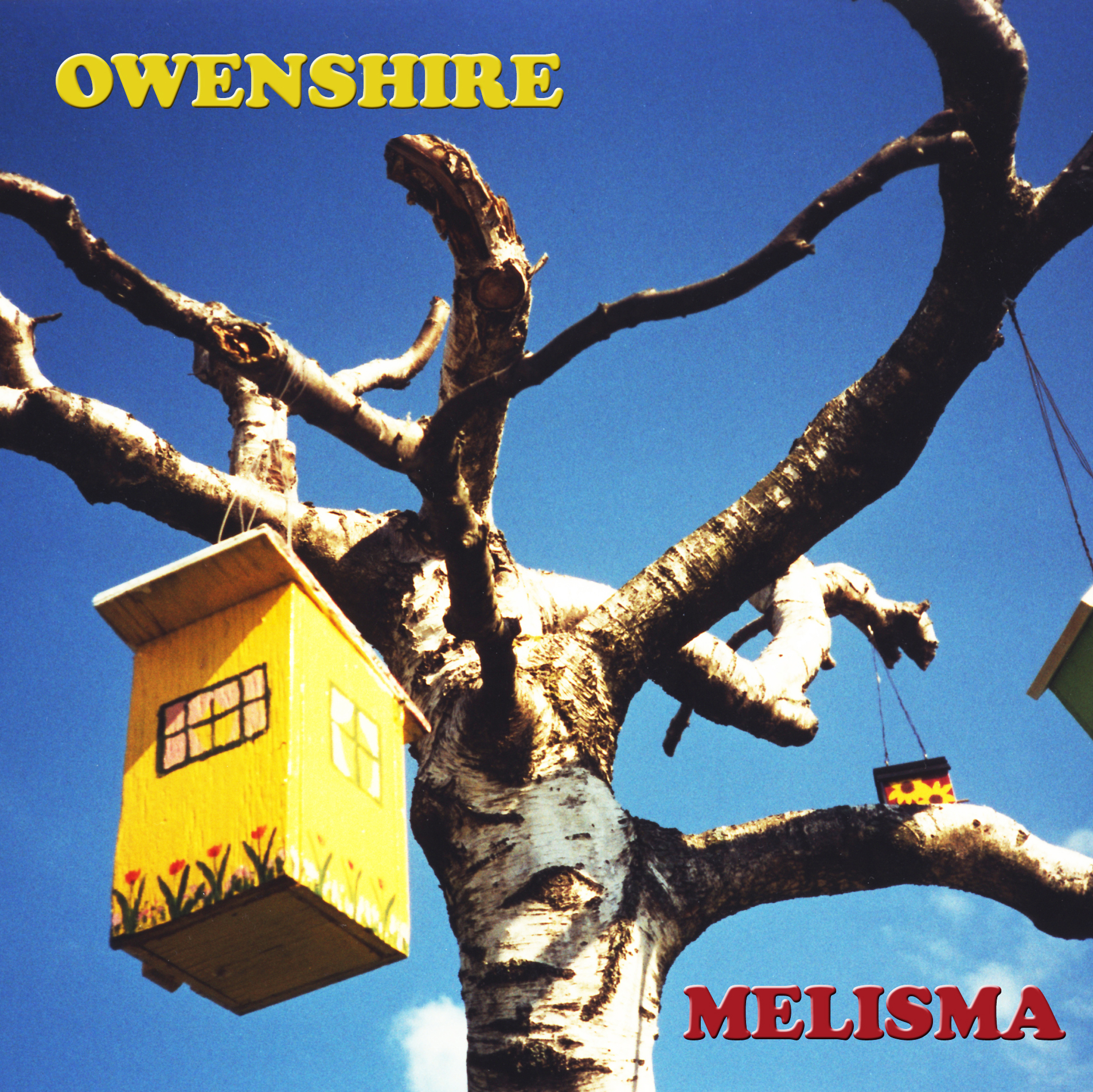 Owenshire Melisma Album Cover Robert Muhlbock