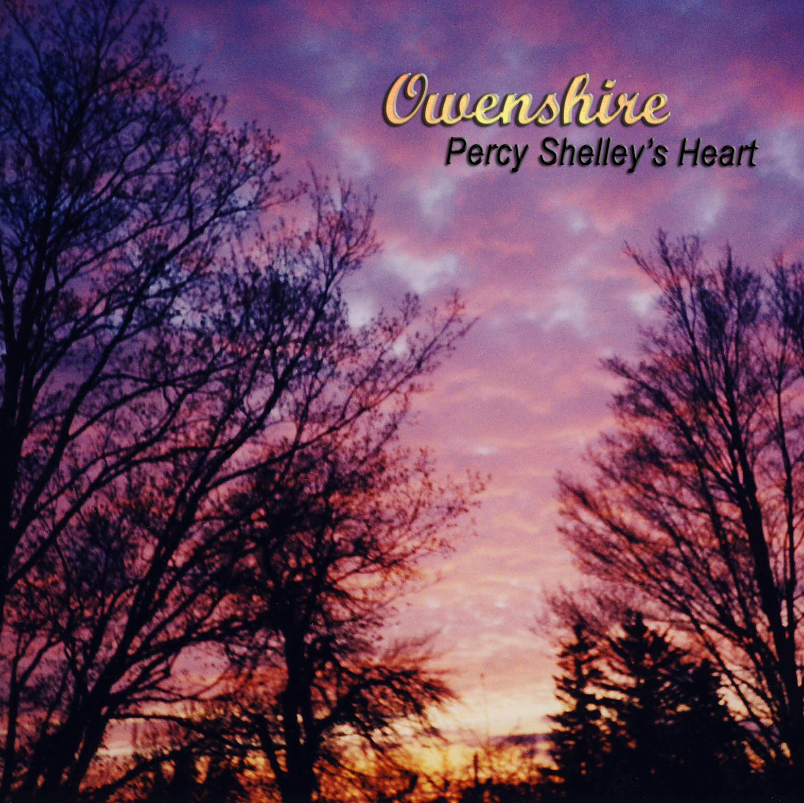 Owenshire Percy Shelley's Heart Album Cover Robert Muhlbock